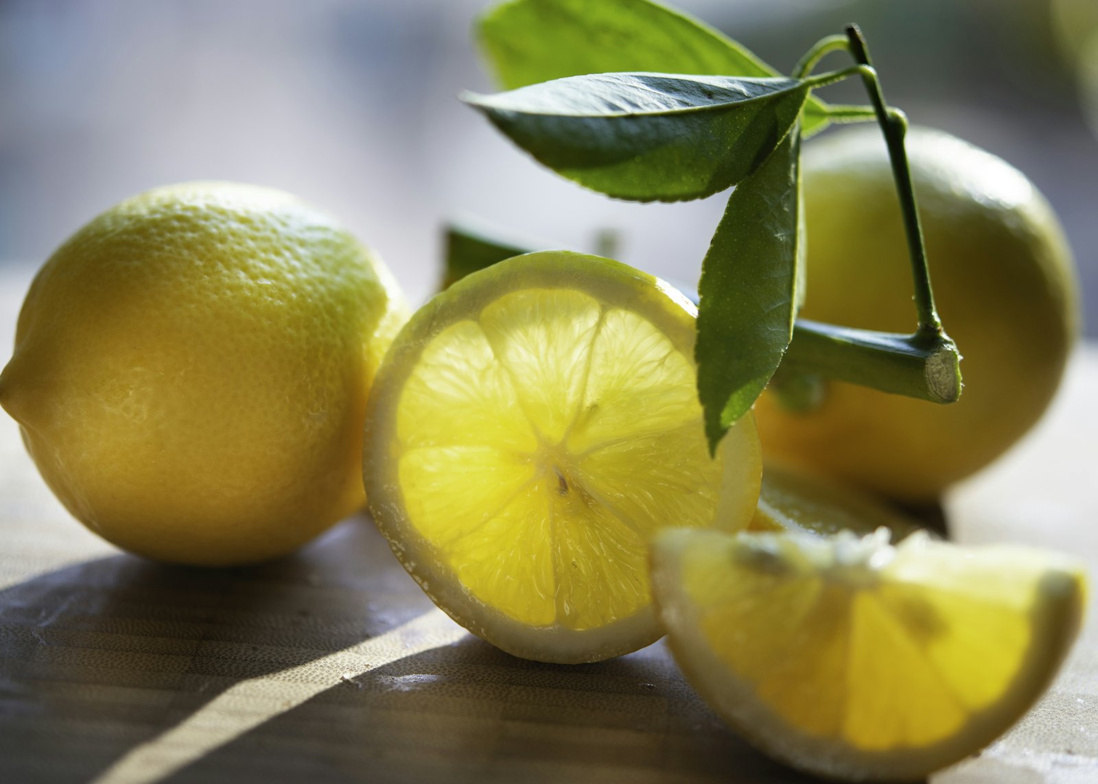 Lemons and leaves in side light