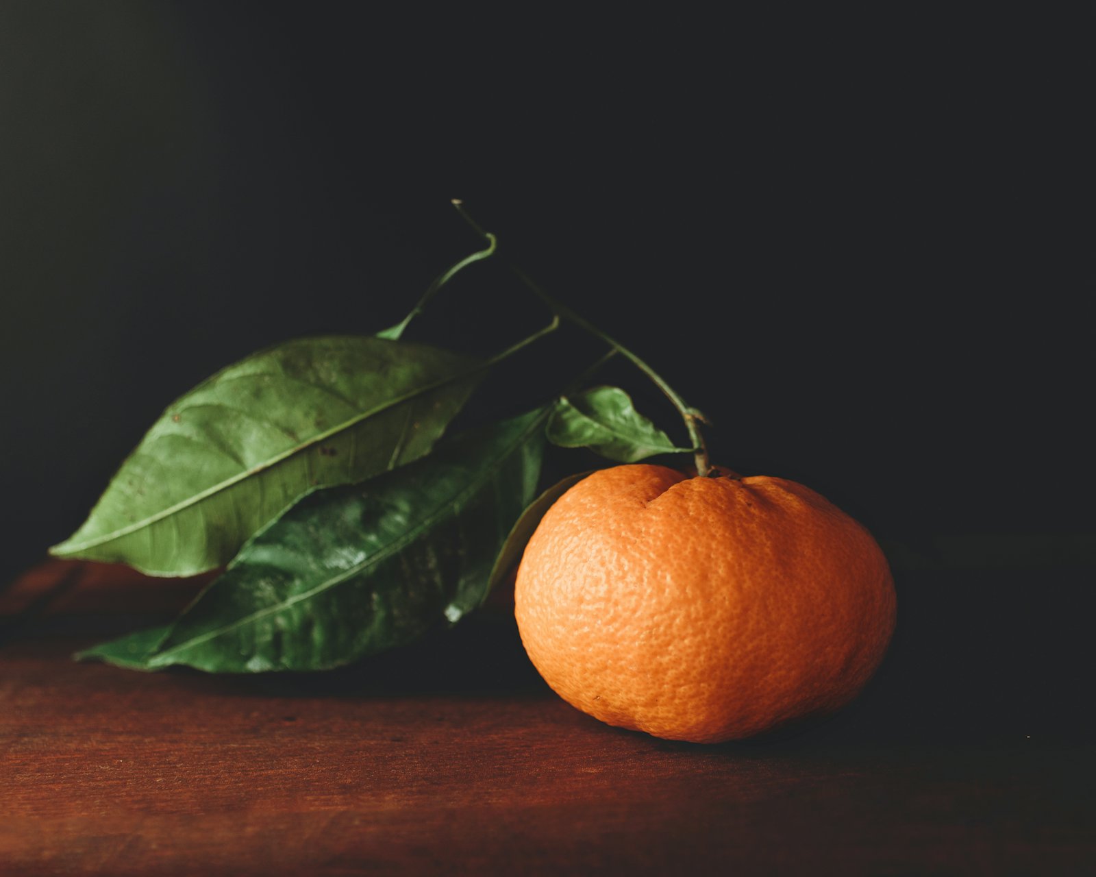 One window, three hours: lighting a still life with nothing else