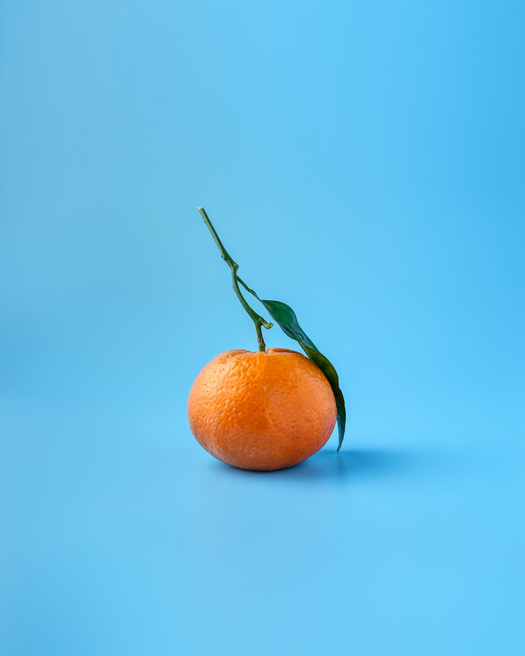 Edition 05 — Mandarin on Blue