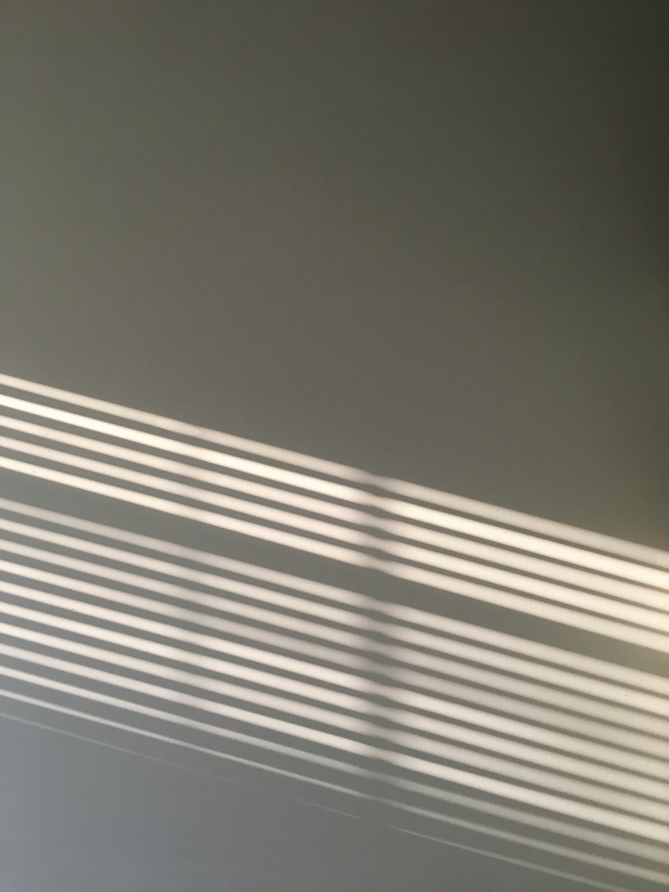 Soft window light across a wall